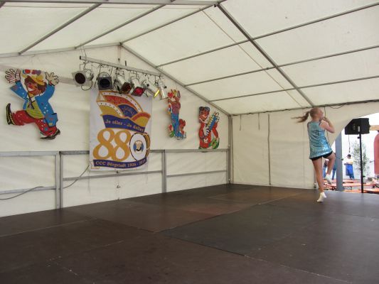 Strassen-_und_Hoffest 2014_116.jpg